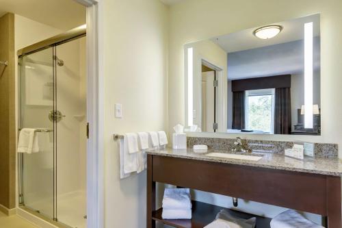 Ένα μπάνιο στο Hampton Inn Poplar Bluff
