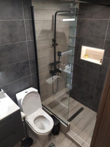 uma casa de banho com um WC e uma cabina de duche em vidro. em Sky Nomads em Tessalônica