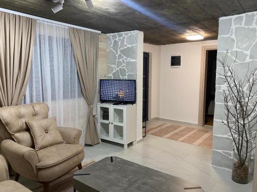 a living room with a chair and a television at Blue Village Lux in Kolašin