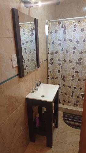 Koupelna v ubytování Departamentos x dia punta alta