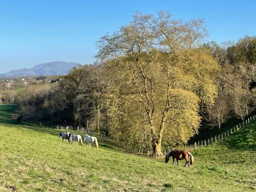 Photo de la galerie de l'établissement Maison dans la Prairie, à Bidart