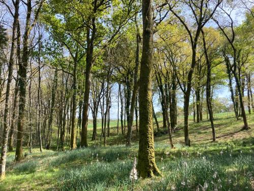 Photo de la galerie de l'établissement Maison dans la Prairie, à Bidart