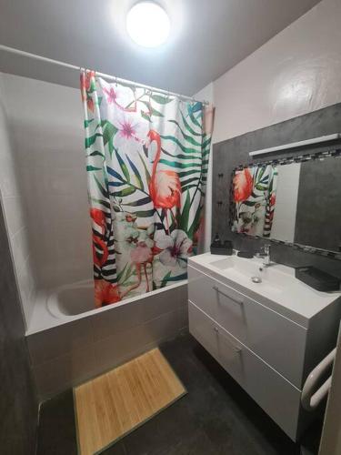 une salle de bain avec un lavabo et un rideau de douche dans l'établissement Modern'Habitat B&B, à Coeuilly