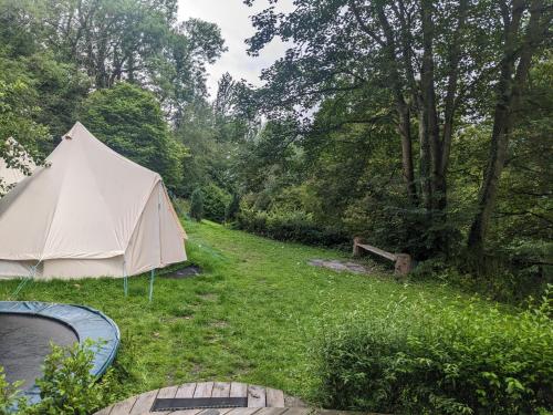 a tent in the grass next to a pool at Stay Wild Retreats 'Glamping Pods and Tents' in Wrexham