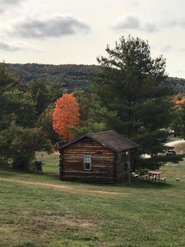 a small wooden cabin in a field with trees at Lake Lauderdale Campground in Cambridge