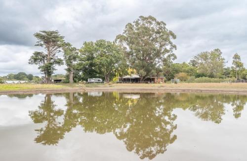 a reflection of trees in a body of water at Country Home Stay, Animals, 2 Properties Sleeps 15 in Balnarring