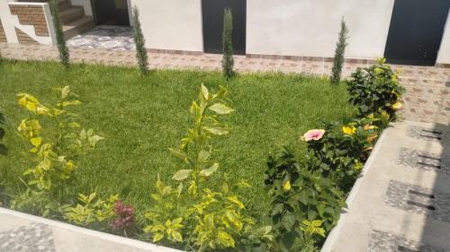 Κήπος έξω από το El Rincón Preferido
