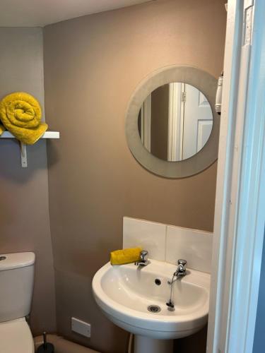 a bathroom with a sink and a mirror and a toilet at The Village apartment. in Marton