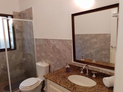 伊瓜蘇港的住宿－Bonpland departamentos，一间带卫生间、水槽和镜子的浴室