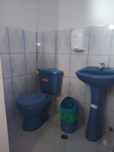 a bathroom with a blue toilet and a sink at Departamento Shaka in La Libertad