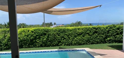 a view of a swimming pool with a hammock at Tropical Vibes Beach House in San Rafael