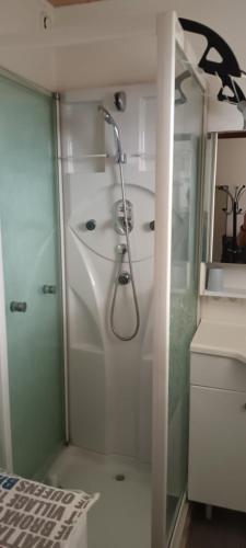 une salle de bain avec une douche avec une porte vitrée dans l'établissement Les Hortensias, à Sangatte