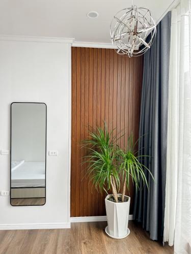 a mirror and a potted plant in a room at Bách Xanh House in Tam Ðảo
