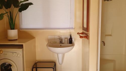 a bathroom with a sink next to a washing machine at Poihipi Farm Stay 