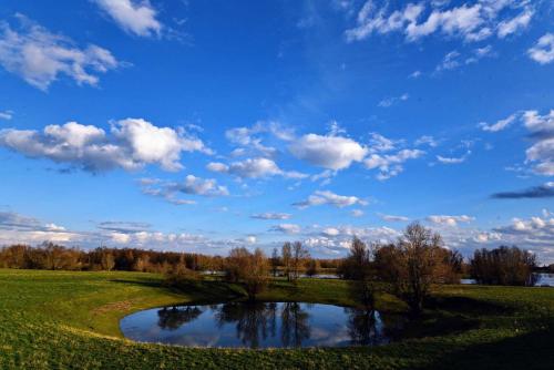 a pond in a field with a blue sky and clouds at Hasenbau Flüren in Wesel