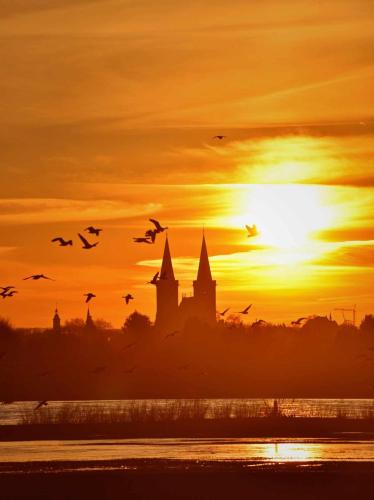 a flock of birds flying in front of a sunset at Hasenbau Flüren in Wesel