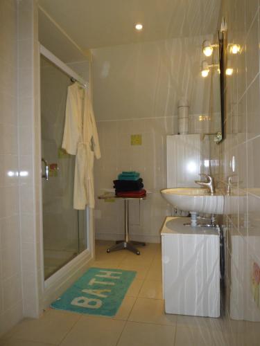 une salle de bain avec un lavabo et une douche dans l'établissement Les Mirabelles, à Metz