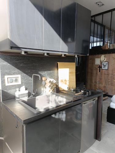 a kitchen with a sink and a counter top at Flambantvieux in Saint-Jean-de-Touslas