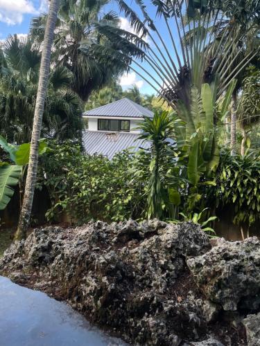 una casa en un jardín con palmeras y una roca en Casa Jasmin, en Las Terrenas