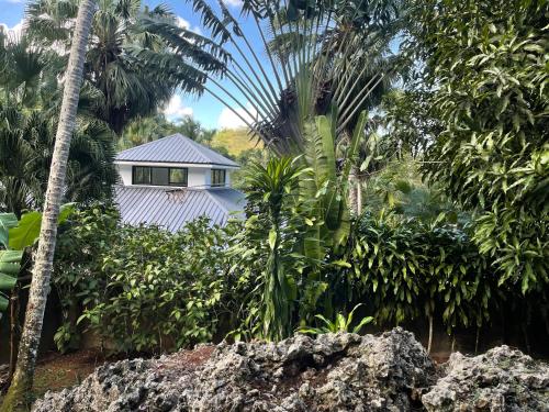 una casa en medio de un bosque de palmeras en Casa Jasmin, en Las Terrenas