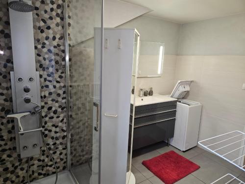 łazienka z prysznicem i umywalką w obiekcie Appartement hyper centre 6 pers. w Chamonix-Mont-Blanc