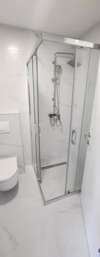 Un baño de Paraiso Zlatibor