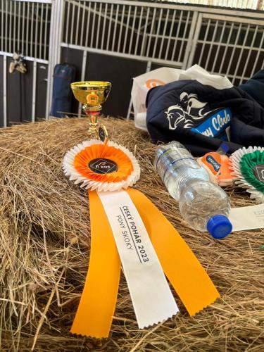 a table with a prize ribbon and a trophy at Dvůr Nové Zámky in Mladeč
