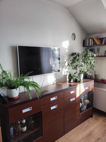 a entertainment center with a flat screen tv and plants at Mieszkanie in Iława