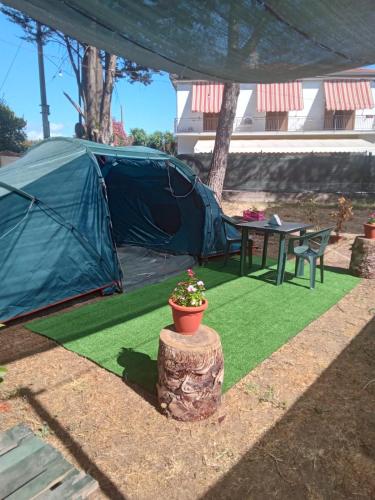 een tent en een tafel en een potplant bij Glamping Pineta in Paestum
