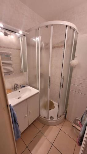 une salle de bain avec douche et lavabo dans l'établissement Appart le Lavandou (le st James) 2 étoiles, au Lavandou