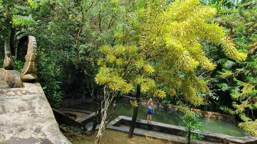 a woman standing next to a tree in the water at Singharaja Garden AGRO ECO Lodge in Pelawatta
