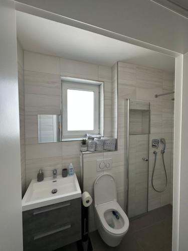 uma casa de banho com um WC, um lavatório e um chuveiro em myhouse.5 em Eppelheim