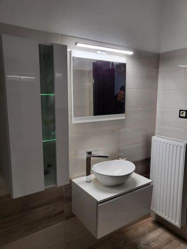 uma casa de banho com um lavatório e um espelho em Flower Apartman Győr em Gyor