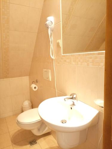a bathroom with a sink and a toilet and a mirror at CHATA MANIOWY Wyspa Ciszy - Agroturystyka nad Zalewem Czorsztynskim, nieopodal Czorsztyna, Maniowych i Kluszkowcow in Maniowy
