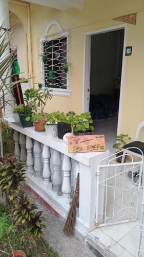 a table with plants on it next to a door at French House 2 in Moalboal