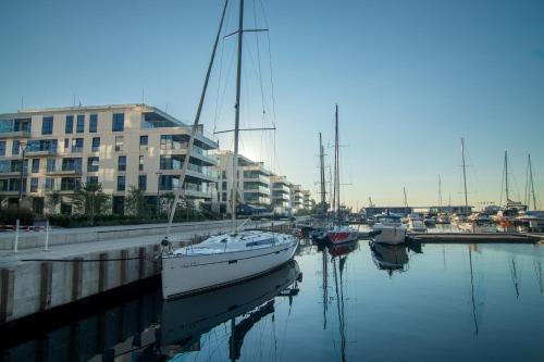 Marina View - Yacht Park Premiere في غدينيا: يتم رسو مجموعة من القوارب في الميناء