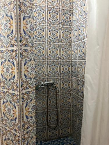 a bathroom with a tiled wall with a shower at Maison d'Hote Domaine El-Manar in Zarzis