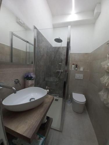 een badkamer met een wastafel, een douche en een toilet bij Monolocale Versilia in Lido di Camaiore