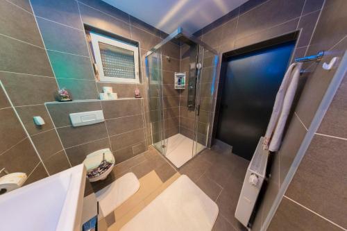 a bathroom with a shower and a toilet and a sink at Vila NERA in Bihać