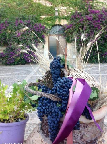 Κήπος έξω από το Agriturismo Feudo Tudia