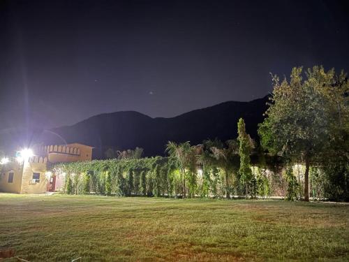 a row of trees in a field at night at Pushkar Heritage in Pushkar