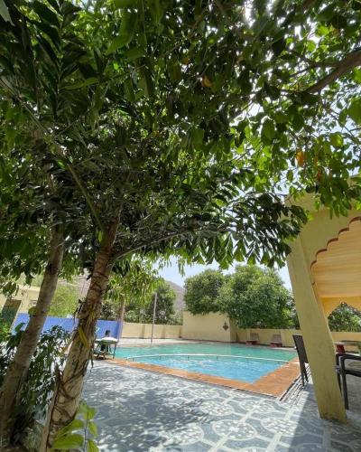 a swimming pool with a tree in front of it at Pushkar Heritage in Pushkar