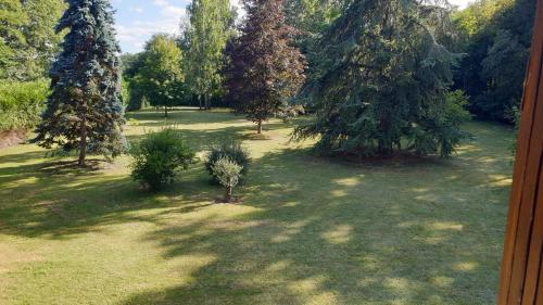 eine Aussicht über einen Park mit Bäumen und Gras in der Unterkunft Verdure tourangelle in Azay-sur-Cher