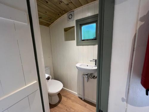a small bathroom with a toilet and a sink at Cosy Shepherd's Hut with Hot Tub in Church Stretton