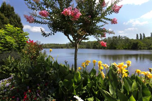 a tree with flowers in front of a lake at Chambre Privée Accès Piscine in Mimizan