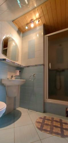 a bathroom with a toilet and a sink and a shower at Dom Zajezdny in Białowieża
