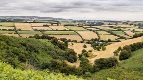 a view of the rolling green hills and trees at 2 Lower Spire in Dulverton