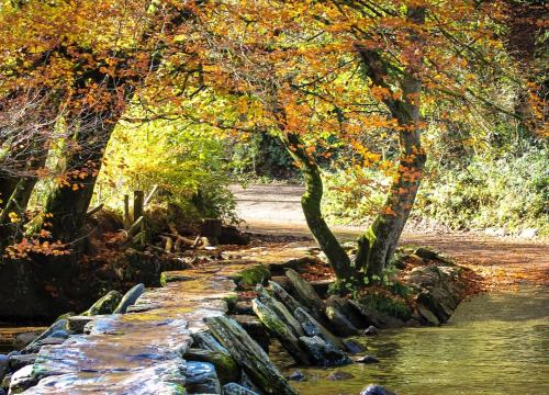 a stream with trees and a stone wall next to water at 1 Lower Spire in Dulverton