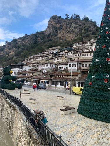 a christmas tree on the side of a mountain at B&BSheshalliu in Berat