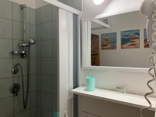 uma casa de banho com um chuveiro, um lavatório e um espelho. em SerenElba em Marina di Campo